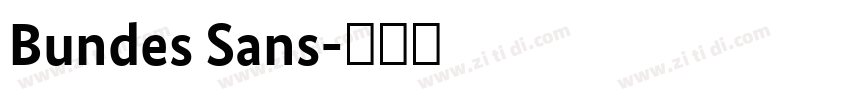 Bundes Sans字体转换 Bundes Sans字体转换